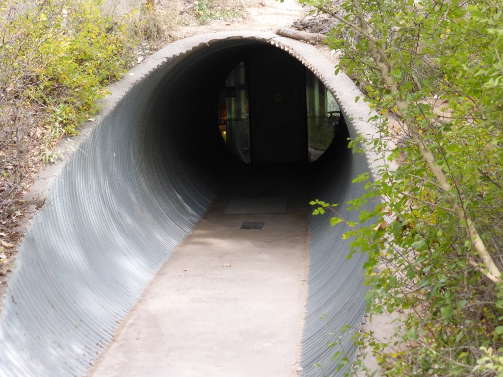 New Mexico - Rio Grande Nature Center State Park