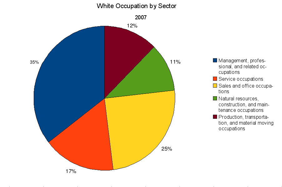 White American occupation by sector 2007